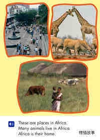 Animals of Africa绘本故事第3页