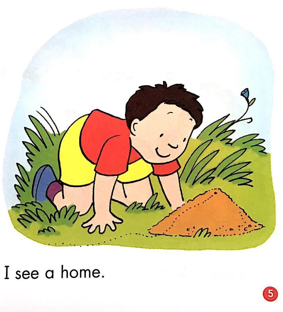 What can I see绘本故事第5页