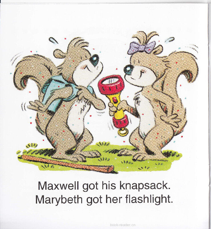 The Campsite绘本故事第3页