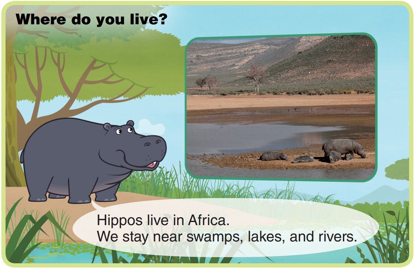 Hippopotamus绘本故事第4页
