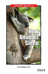How Animals Sleep