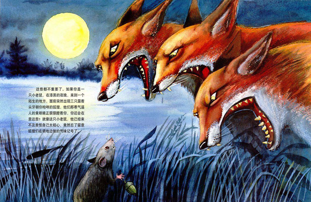 第四只狐狸绘本故事第3页