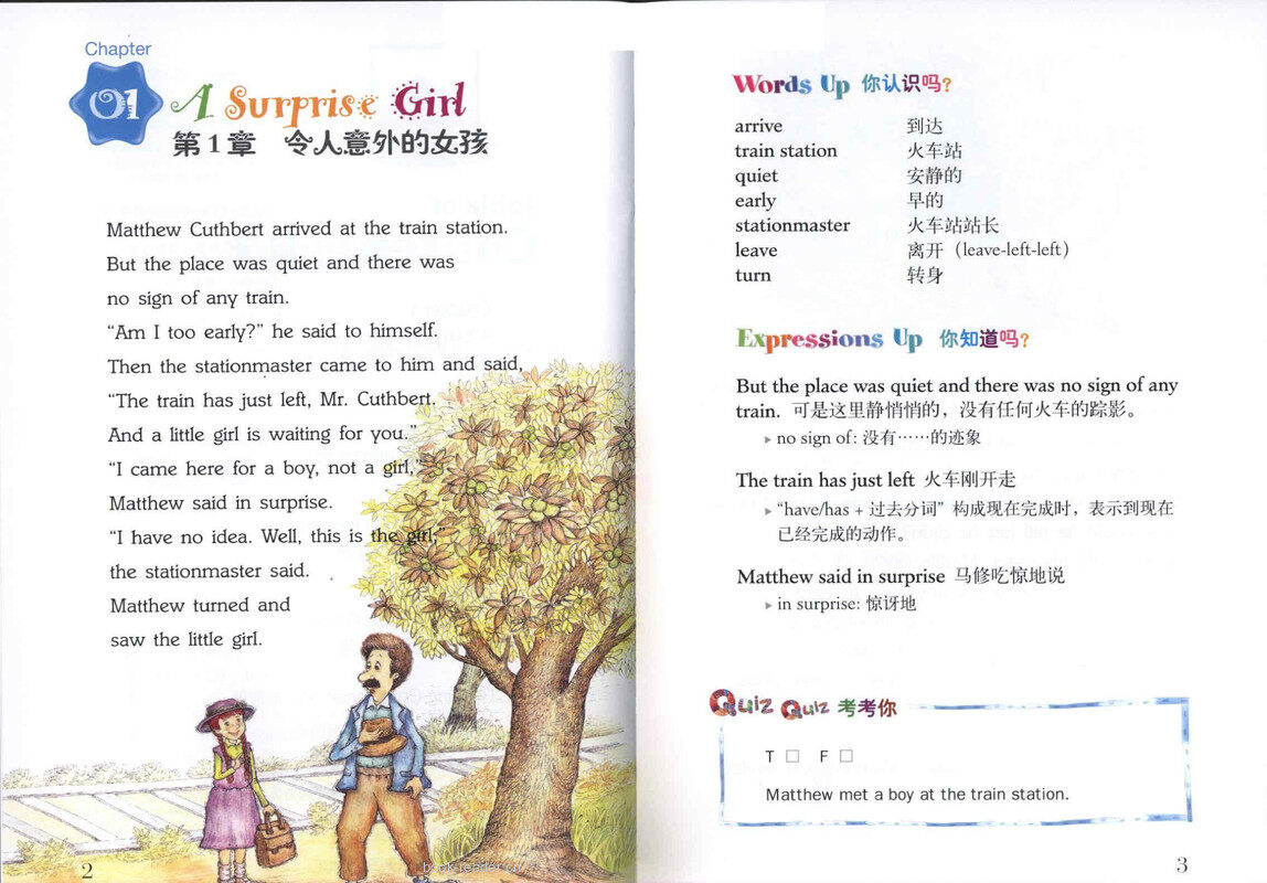 Anne of Green Gables 绿山墙的安妮 绘本故事第3页