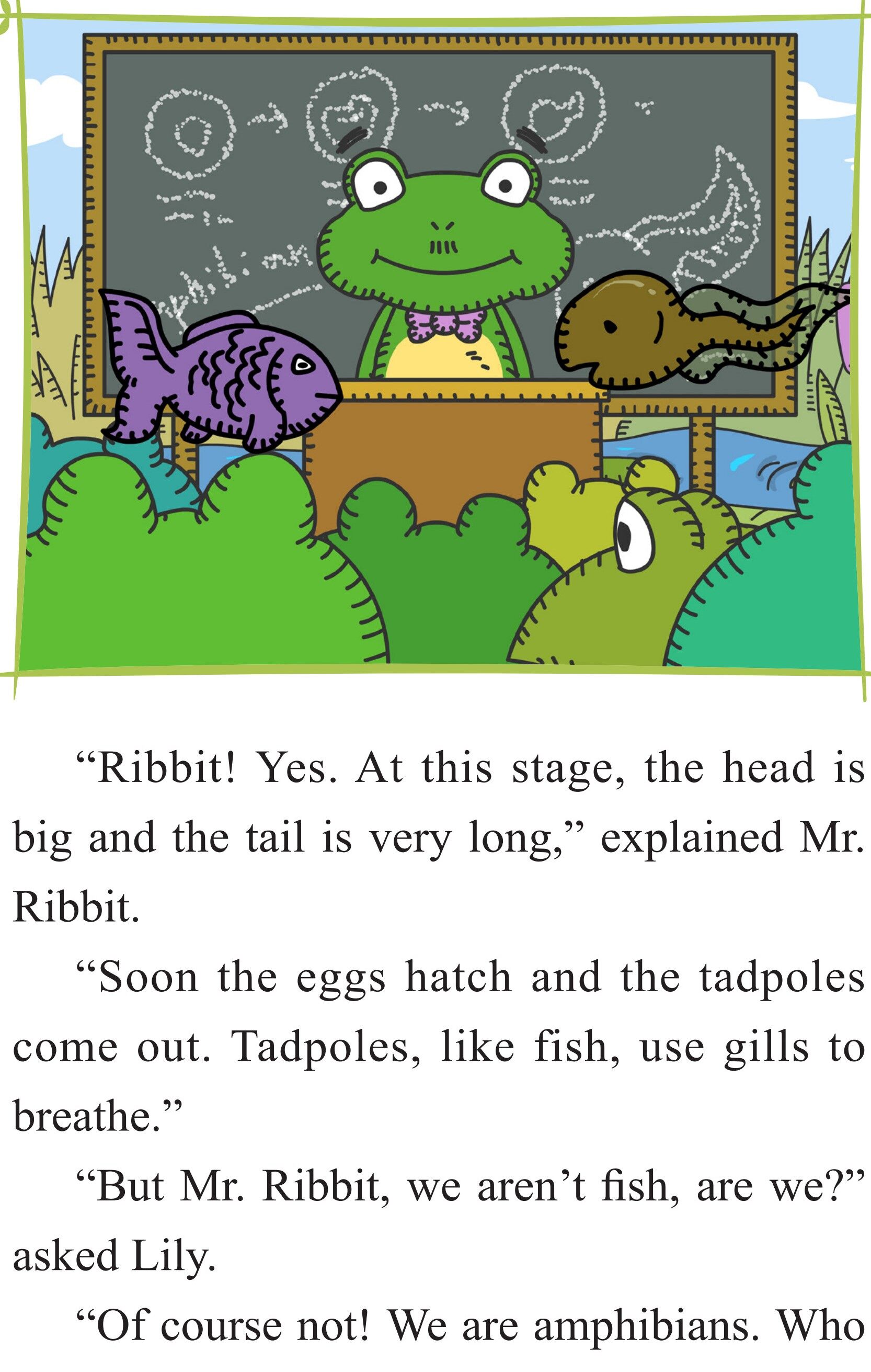 From Tadpole to Frog绘本故事第4页