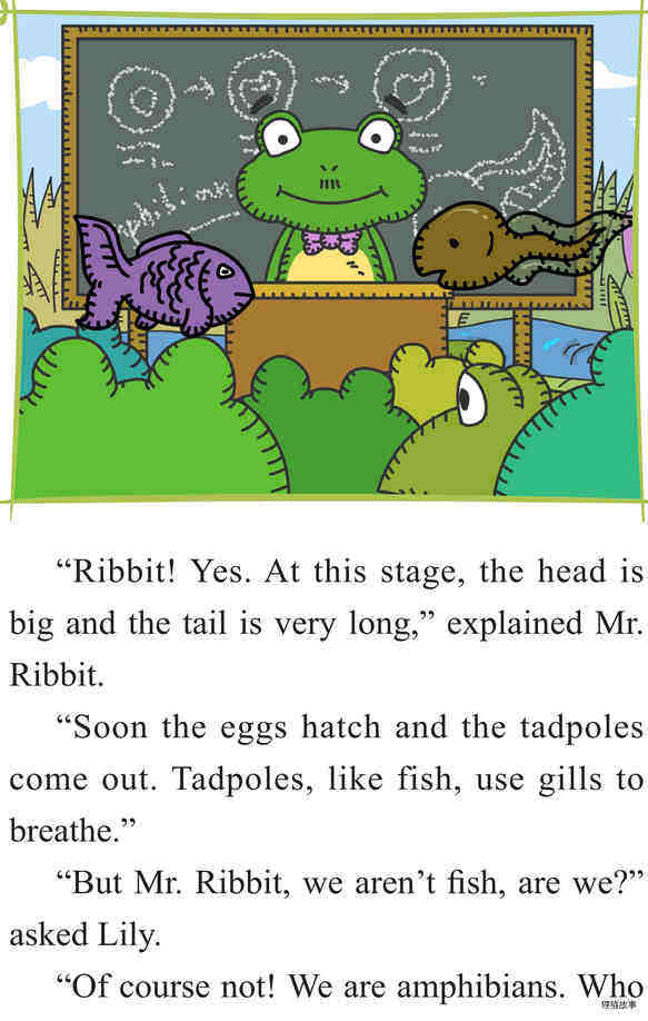 From Tadpole to Frog绘本故事第4页