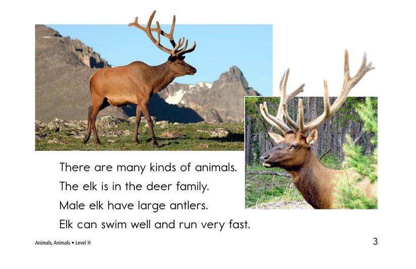 Animals,Animals绘本故事第3页