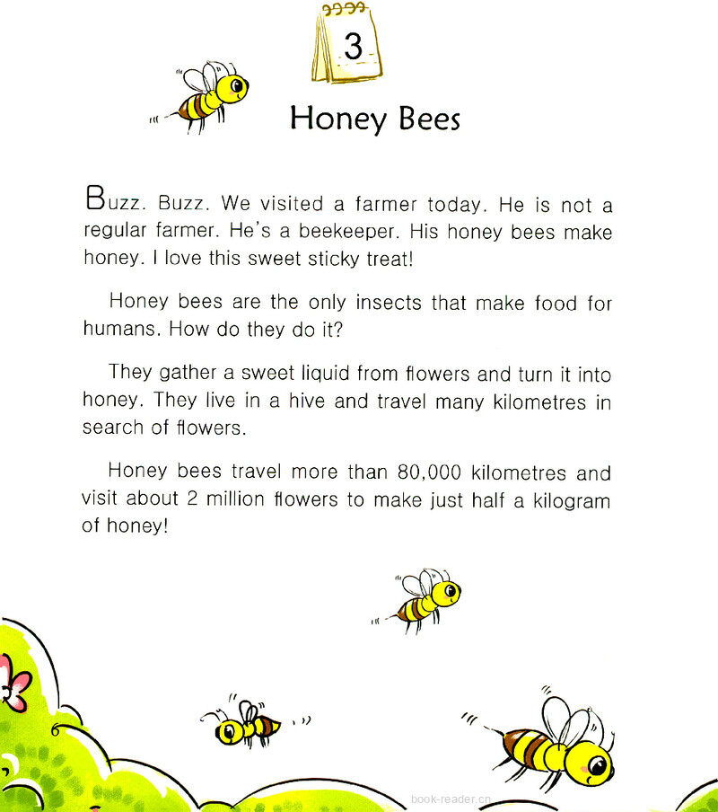 Honey Bees绘本故事第2页