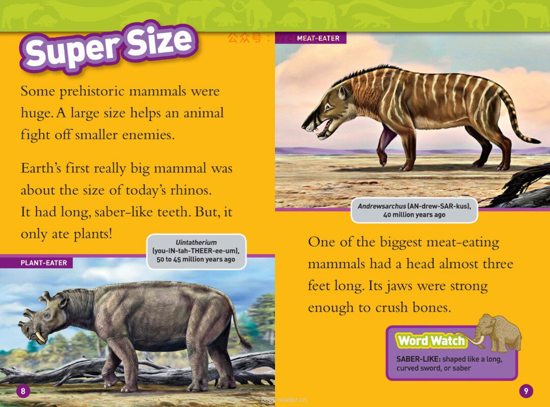 Prehistoric Mammals绘本故事第5页