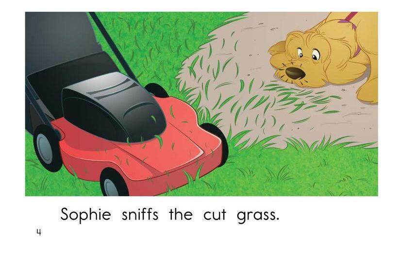 Sophie Goes for a Walk绘本故事第4页