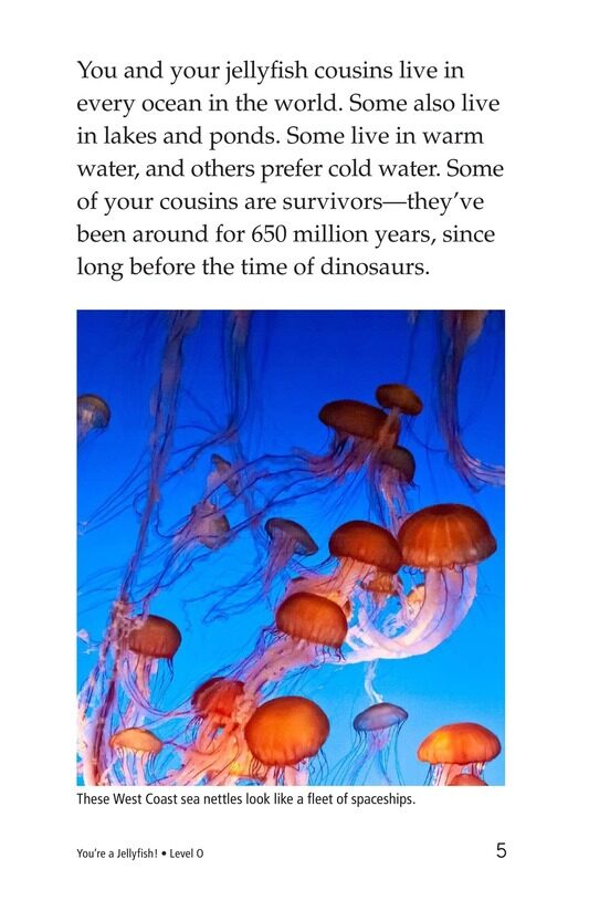 You're a Jellyfish!绘本故事第4页