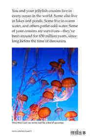 You're a Jellyfish!绘本故事第4页