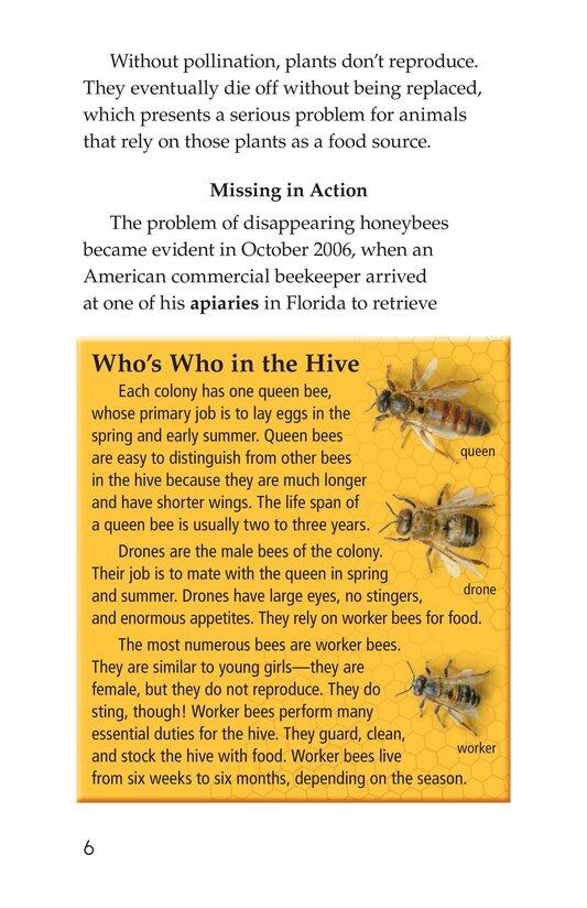 The Case of the Disappearing Honeybees绘本故事第5页