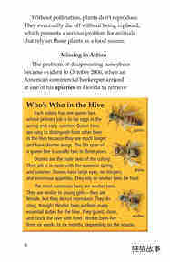 The Case of the Disappearing Honeybees绘本故事第5页