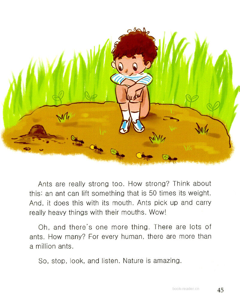 Ants绘本故事第3页