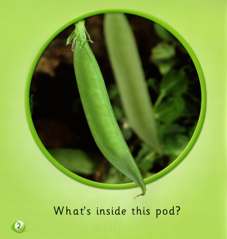 What's inside?绘本故事第3页