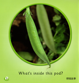 What's inside?绘本故事第3页