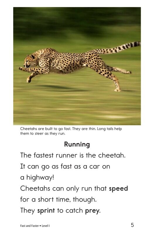 Fast and Faster绘本故事第4页