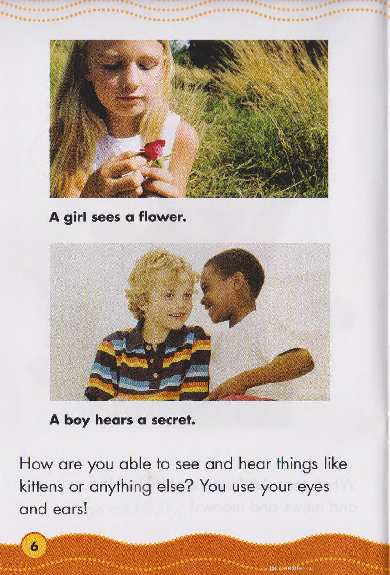 Your Eyes and Ears绘本故事第5页