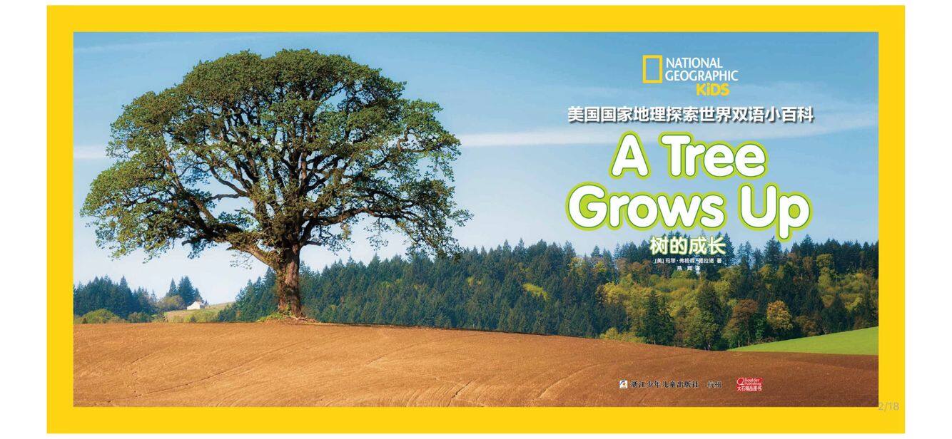 树的成长绘本故事第2页