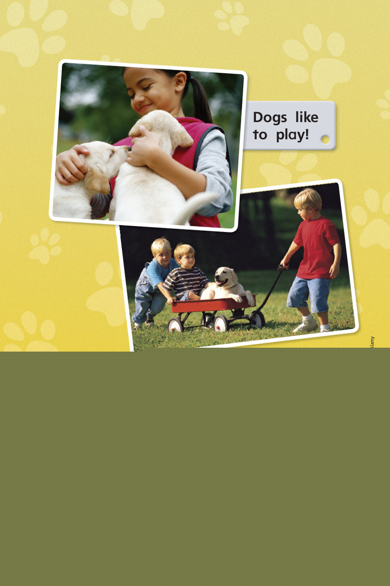 G1 App U4W5 Teach a Dog!绘本故事第4页