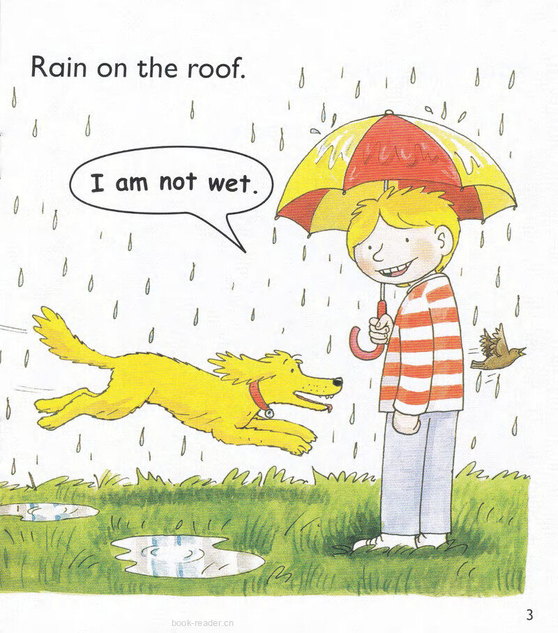 L3 Rain Again绘本故事第5页