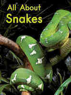 All About Snakes