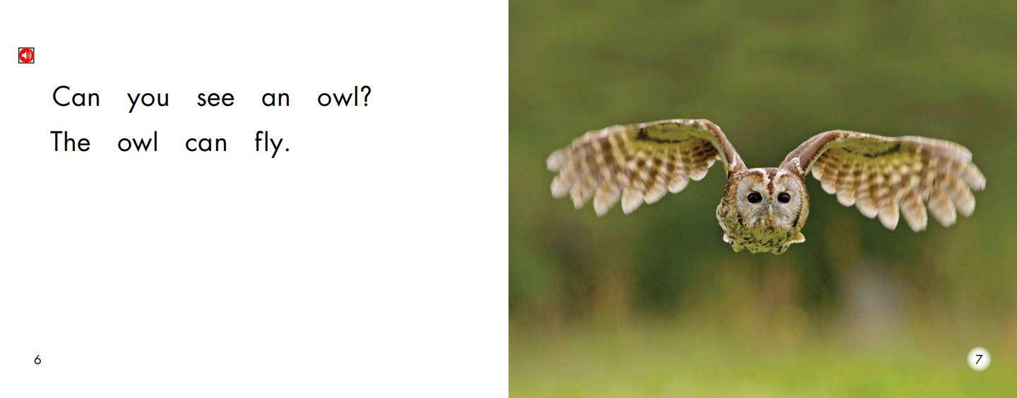 things that fly绘本故事第5页