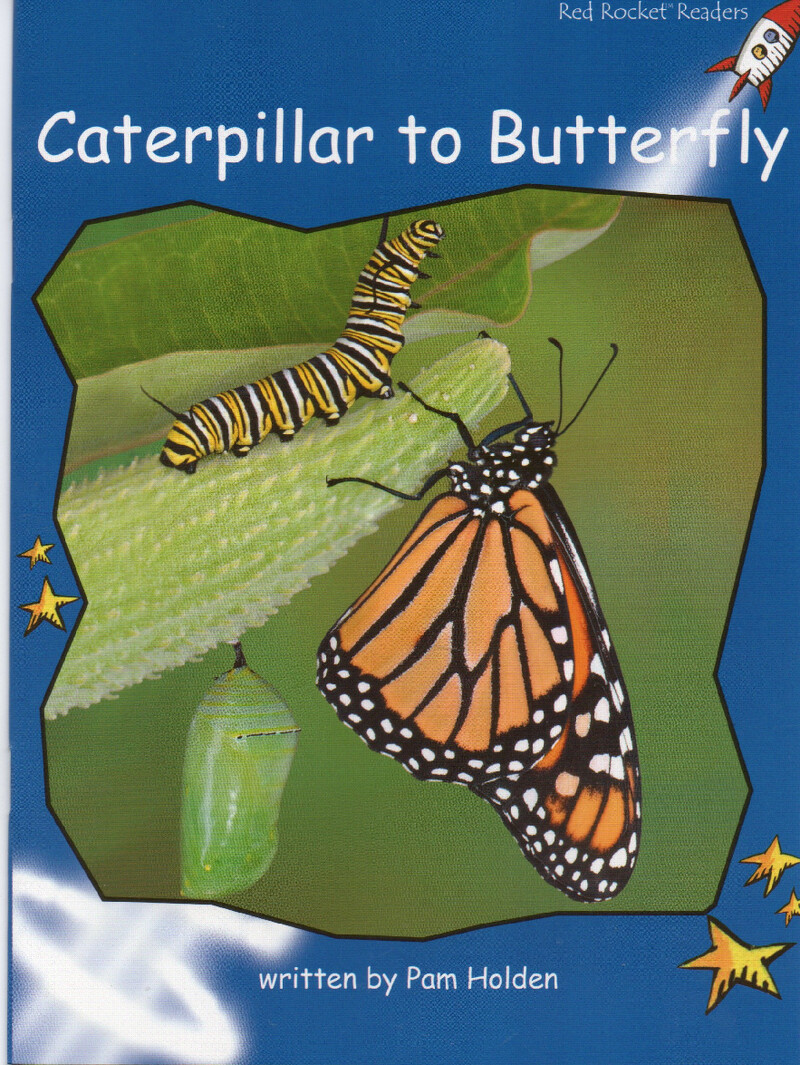 caterpillar to butterfly绘本故事第2页