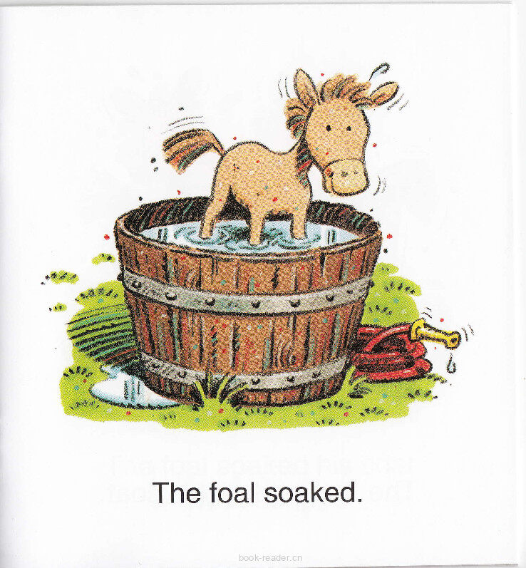 Whoa Foal!绘本故事第4页