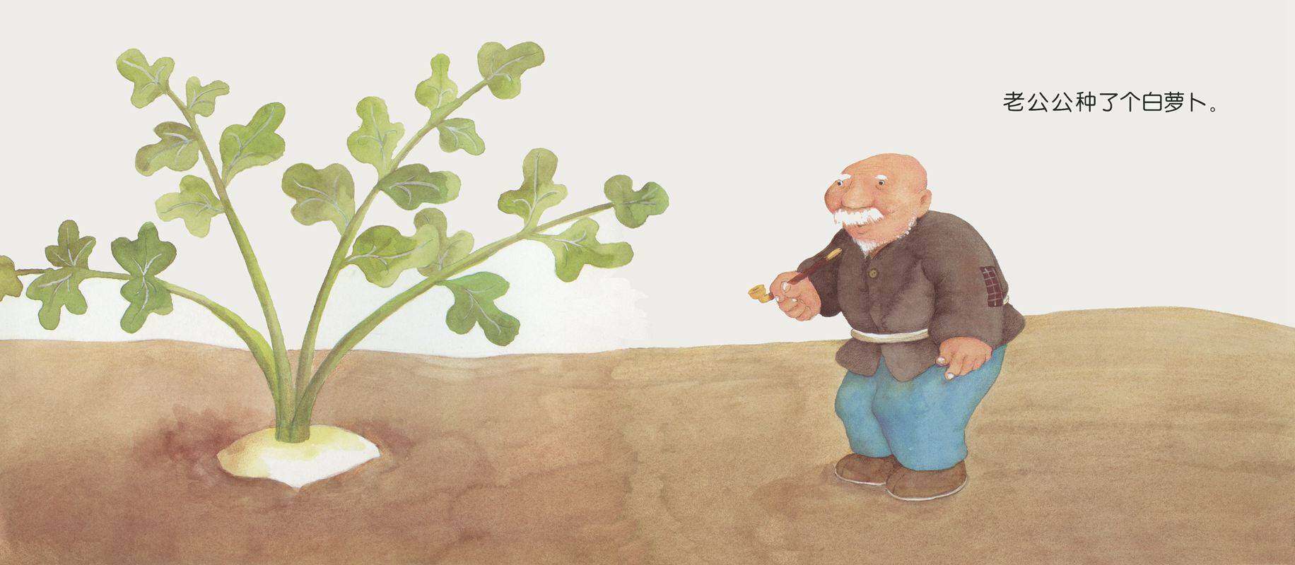 拔呀拔呀拔萝卜绘本故事第2页