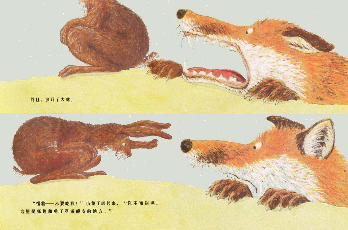 当狐狸和兔子互道晚安绘本故事第3页
