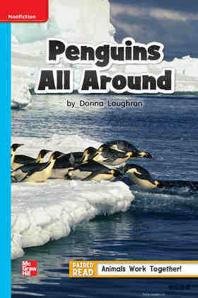 G1 On U4W2 Penguins All Around