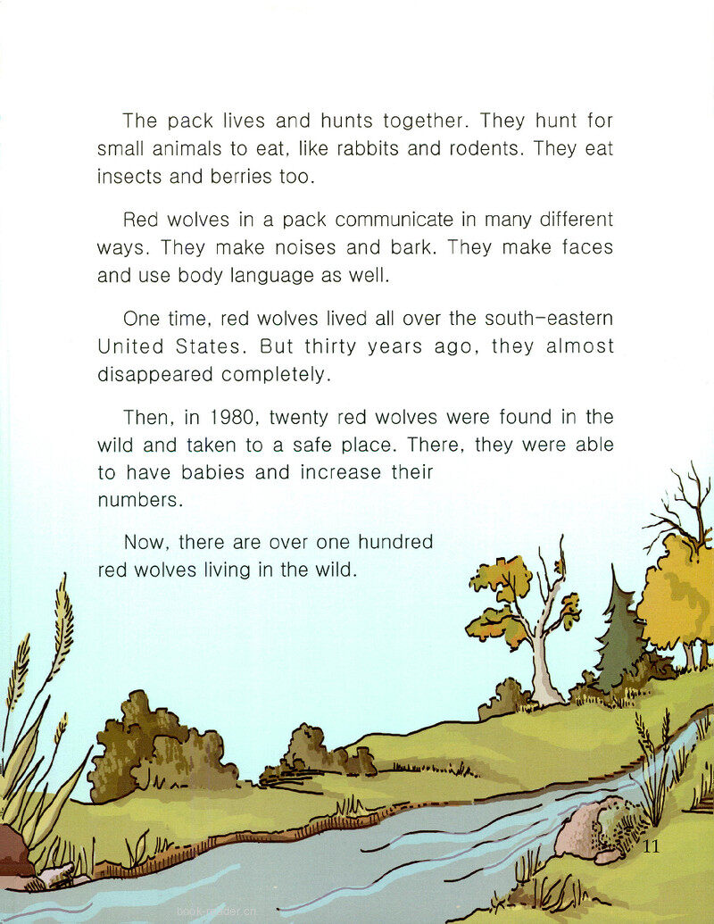 Red Wolves绘本故事第3页