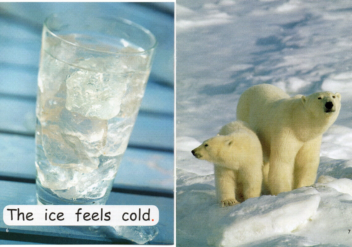 what feels cold绘本故事第5页