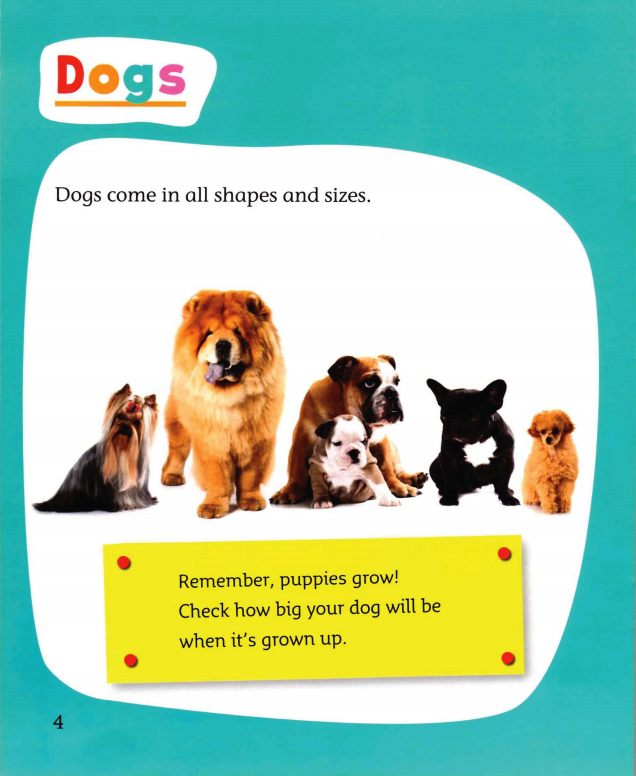 So You WANT A PET绘本故事第5页