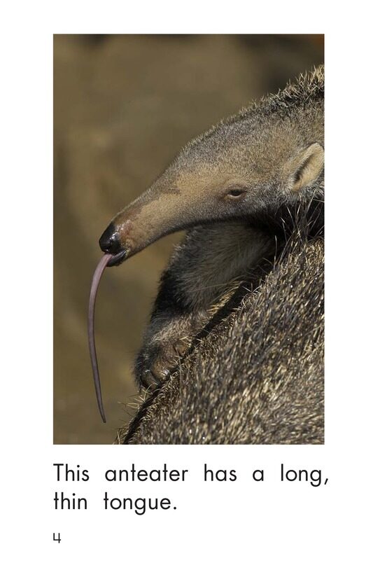 Animal Tongues绘本故事第4页