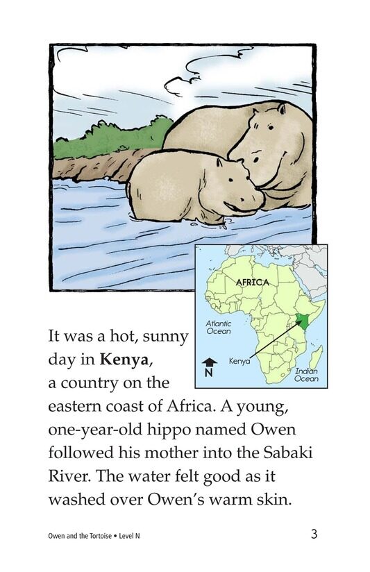 Owen and the Tortoise绘本故事第3页