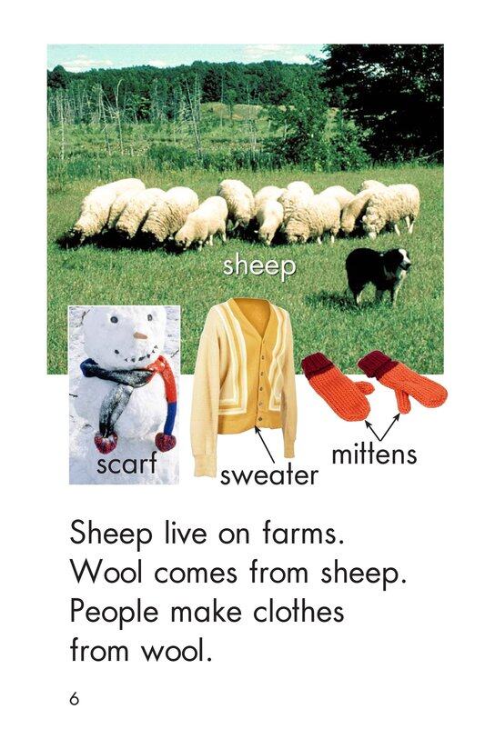 All Kinds of Farms绘本故事第5页