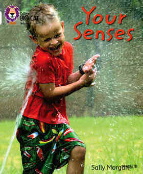 Your Senses