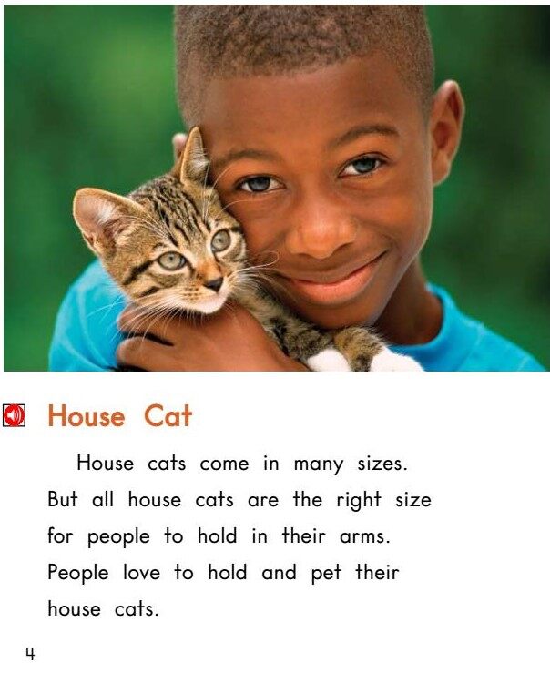 Little Cat,Big Cat绘本故事第5页