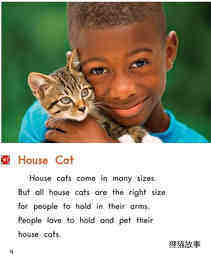 Little Cat,Big Cat绘本故事第5页