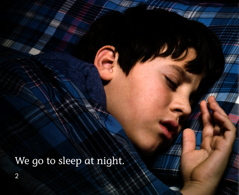 Night Animals绘本故事第3页