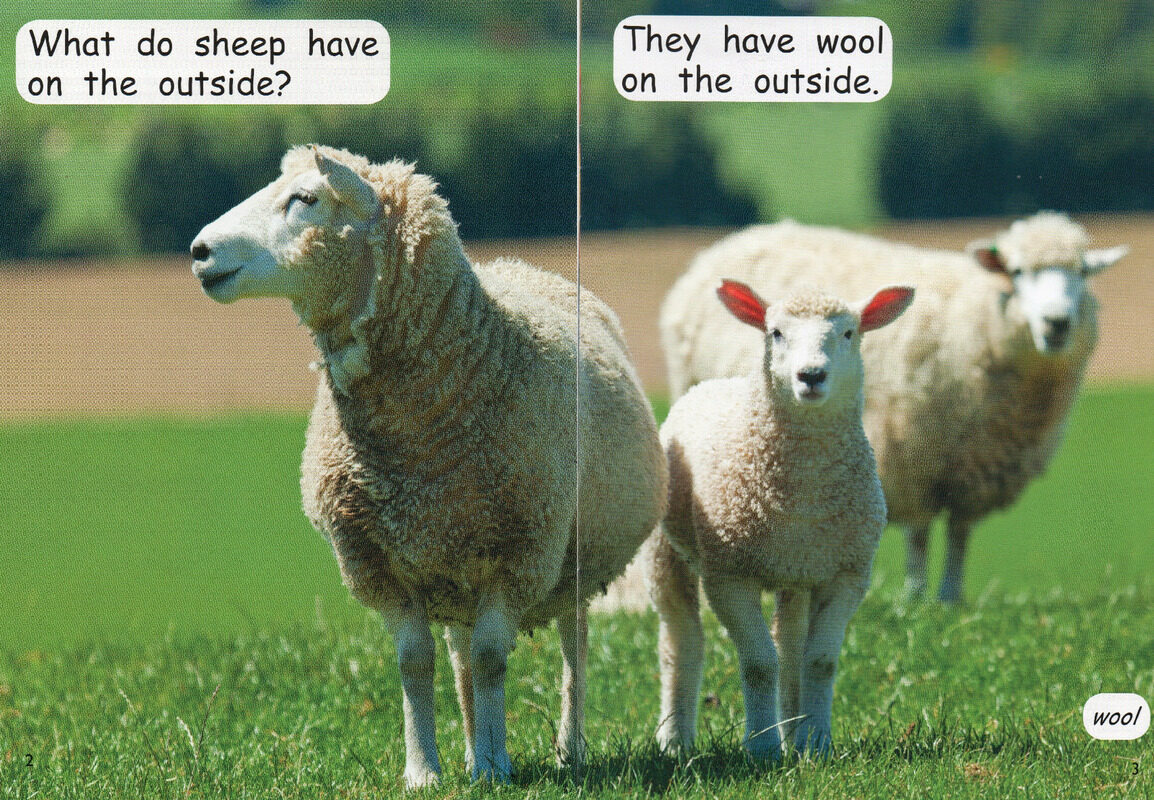 on the outside绘本故事第3页