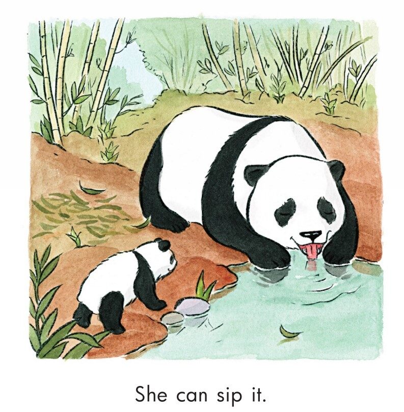 Pandas Can Nap绘本故事第4页