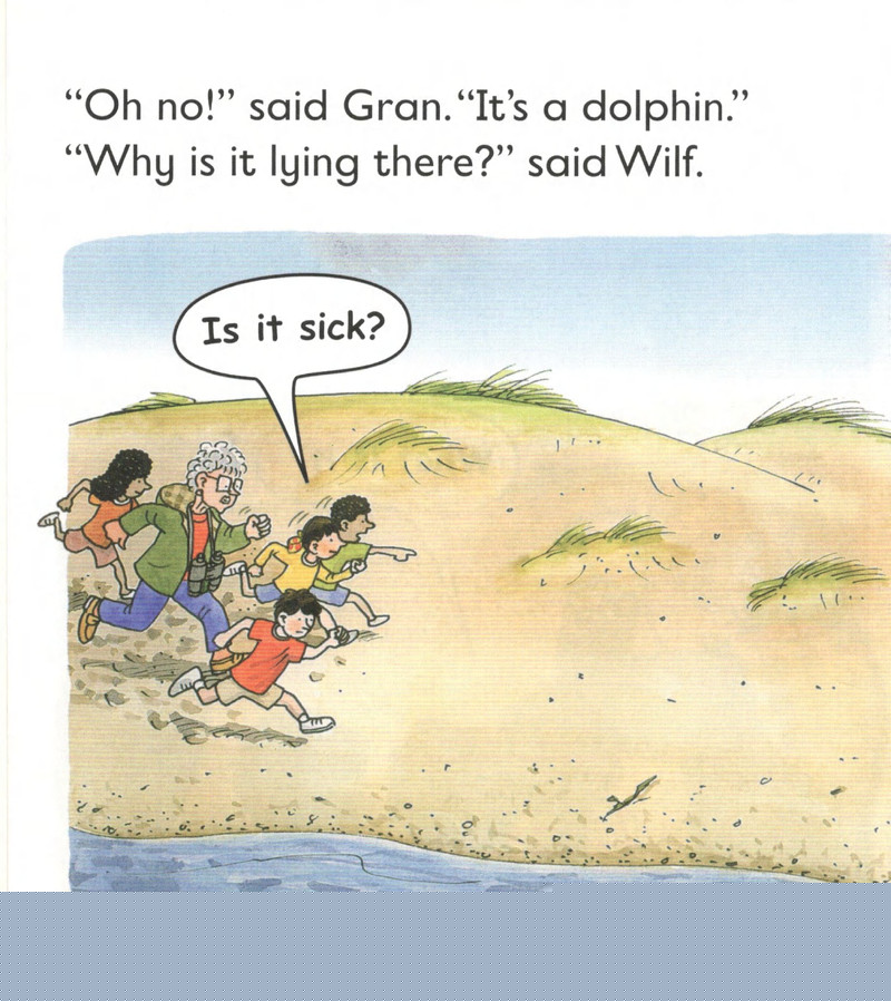 L4 Dolphin Rescue绘本故事第4页