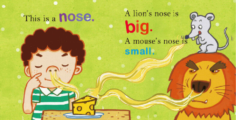 My body绘本故事第4页