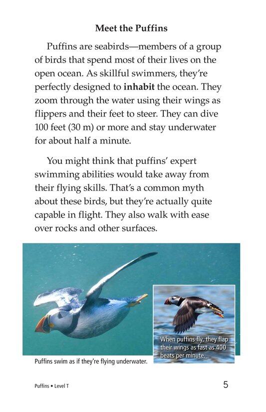 Puffins绘本故事第4页