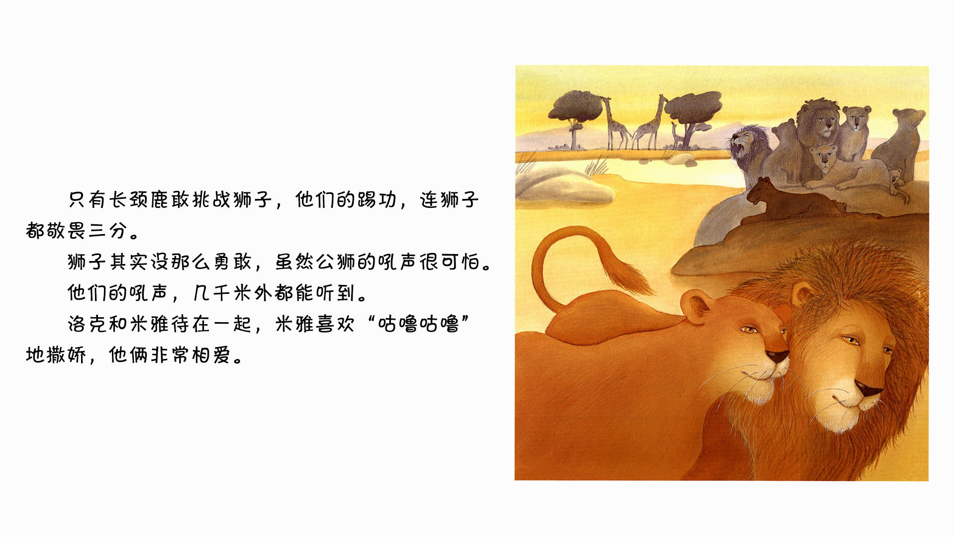 狮子绘本故事第4页