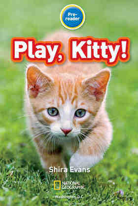 Play Kitty