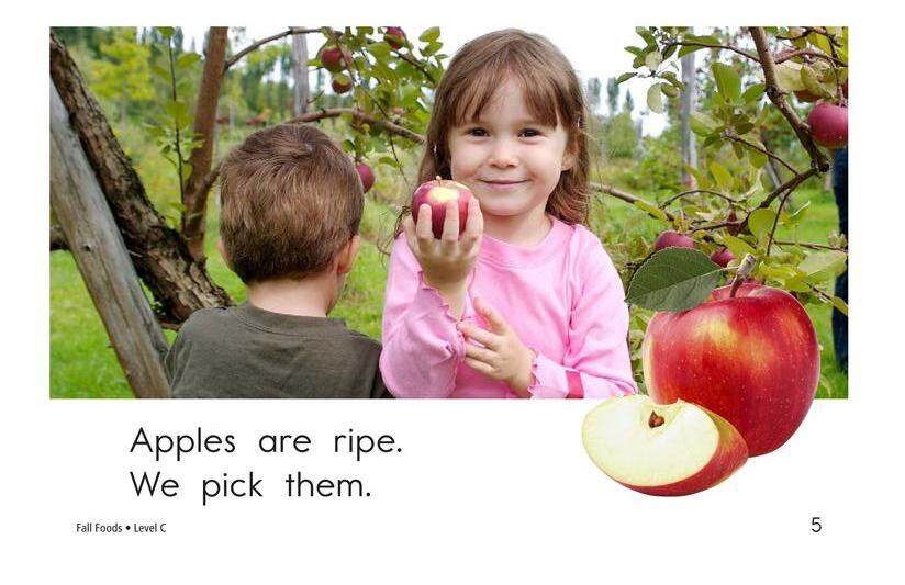 Fall Foods绘本故事第5页